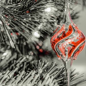 Meet your Posher, Tony